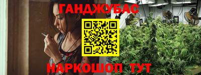 spice Моздок
