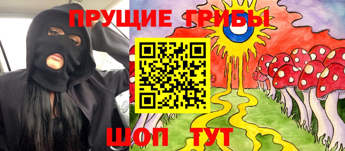 Тара  Галлюциногенные грибы мицелий  Вход с VPN 
