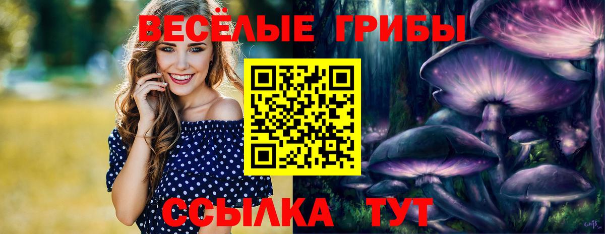 Псилоцибиновые грибы ЛСД Тара